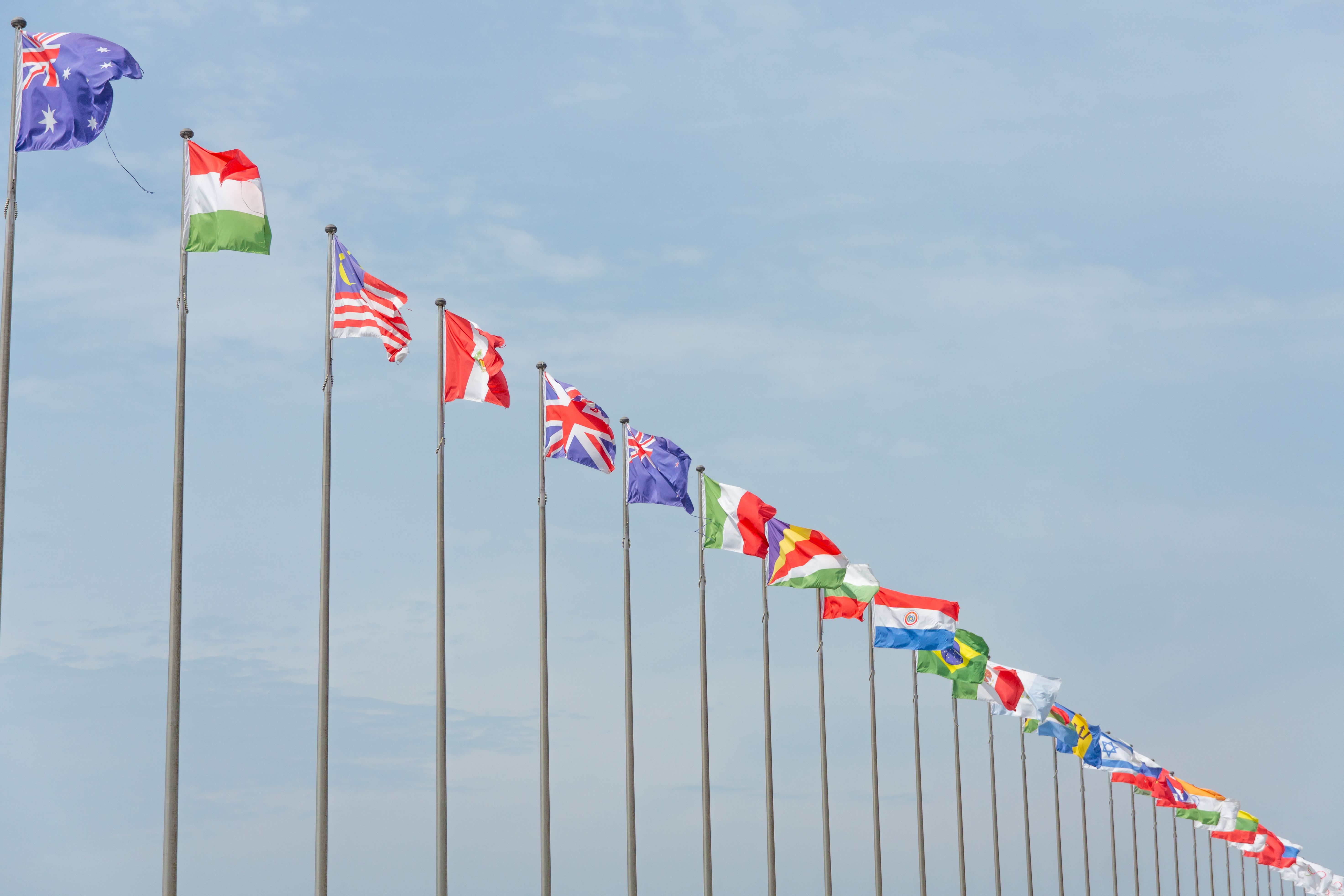 Row of international flags flying against a blue sky, symbolizing multiple jurisdictions in a cross-border class action